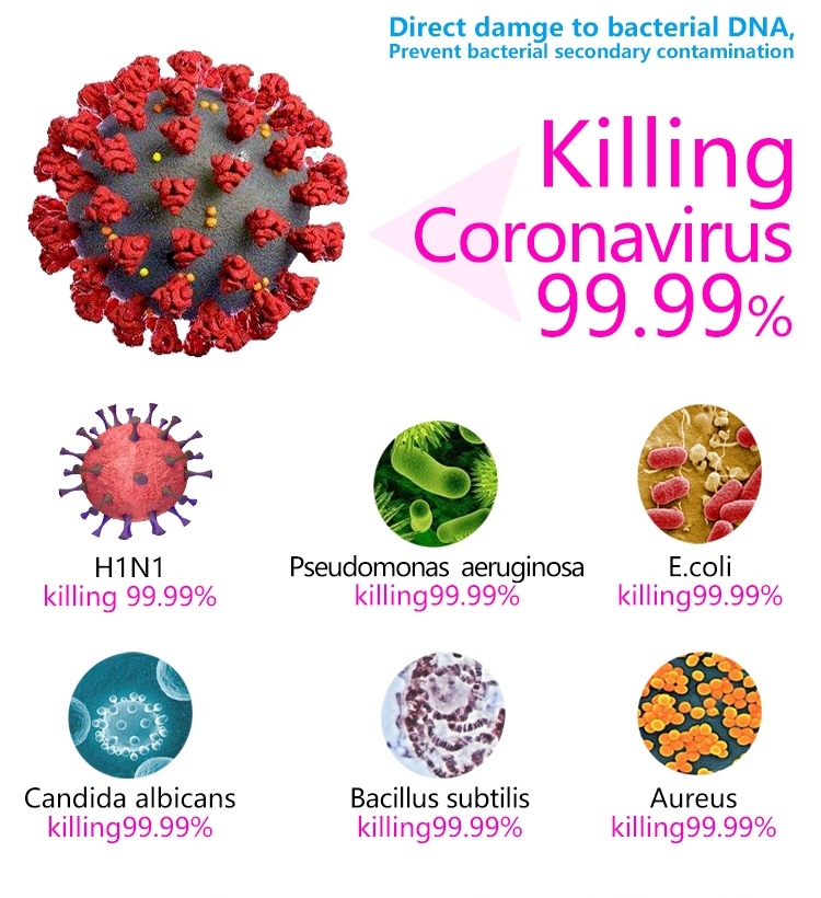 vernietiging van virussen en bacteriën