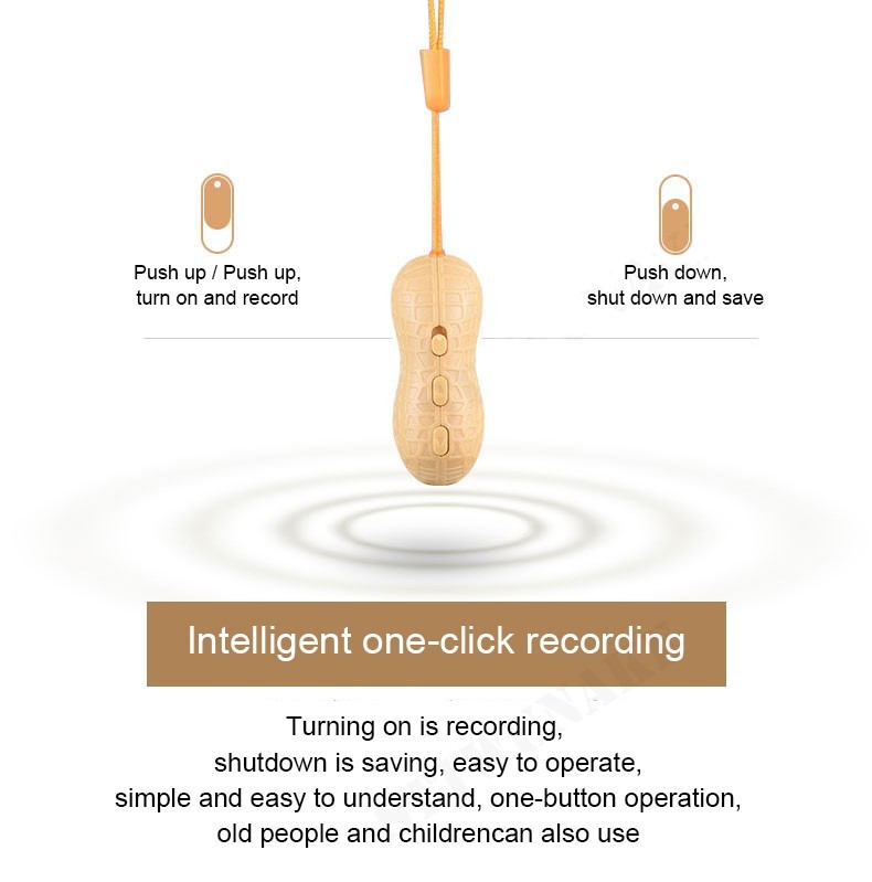 voice recorder nut - spy mini microrecorder